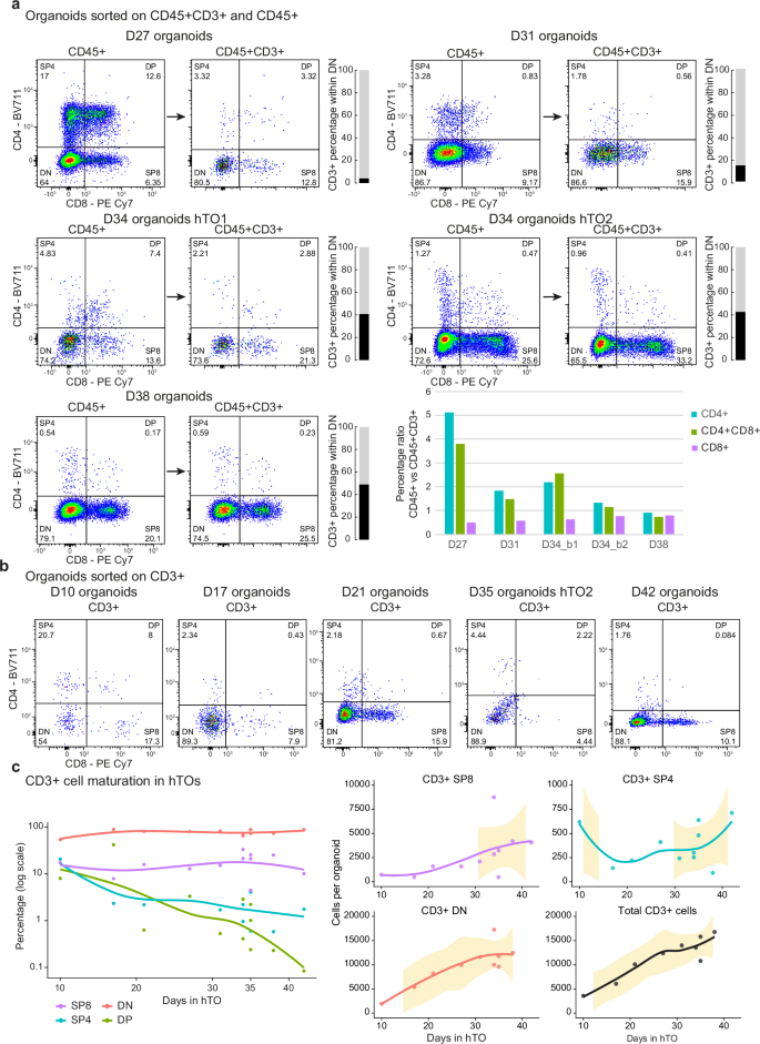 Fig. 8: Thymocyte fractions across independent hTO experiments.