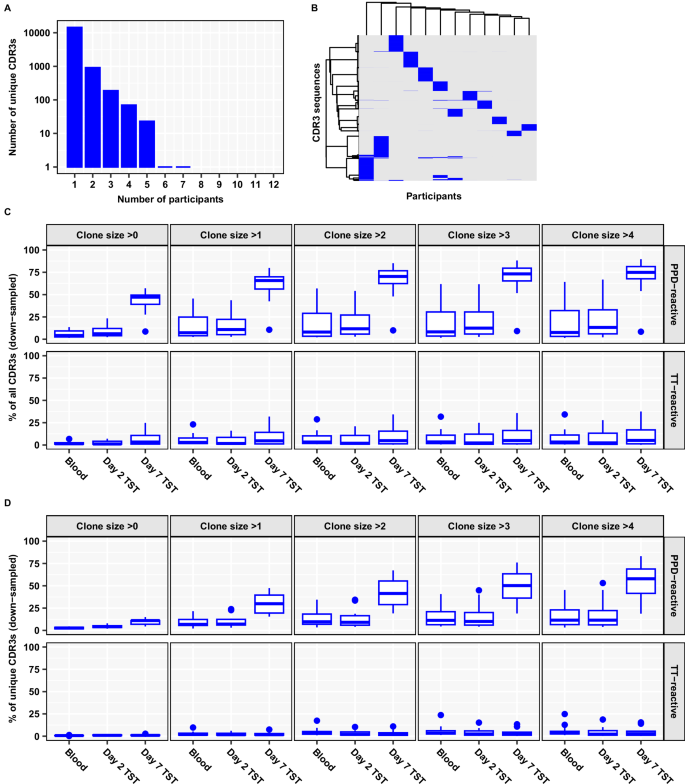 Fig. 3: Expansion of diverse PPD-reactive TCRs in Day 7 TST.