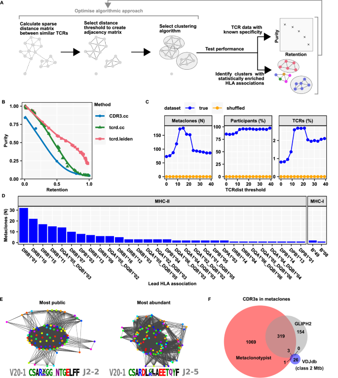 Fig. 4: Discovery of public HLA-restricted TCR metaclones from Day 7 TSTs.