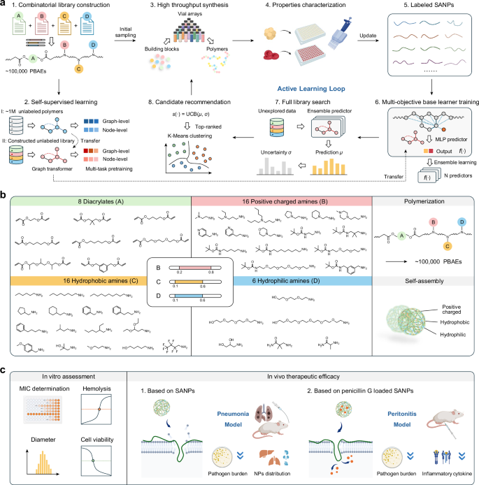 Fig. 1: Overview of PolyCLOVER.