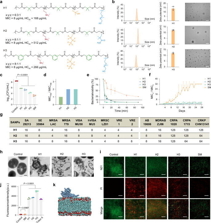 Fig. 4: Structures, in vitro antibacterial activity, and antibacterial mechanism of identified SANPs.