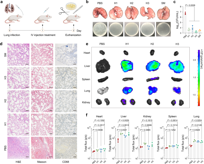 Fig. 5: Therapeutic efficacy of identified SANPs in treating acute pneumonia in vivo.