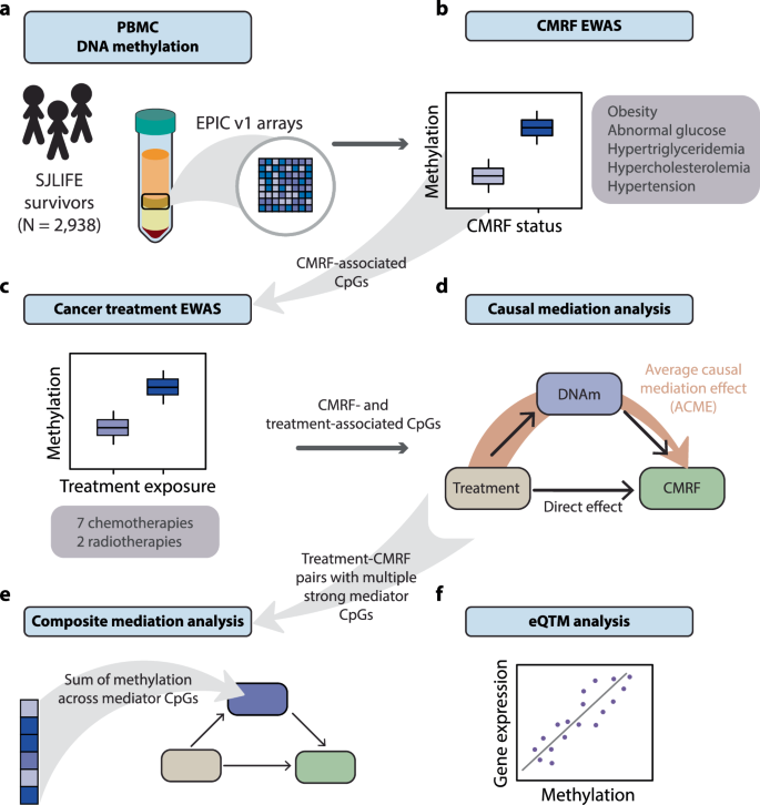 Fig. 1: Statistical analysis strategy for identifying and characterizing mediator CpGs linking treatment exposures to CMRFs in survivors.