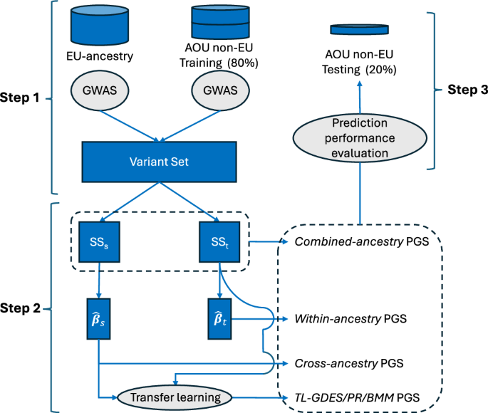 Fig. 1: Graphical representation of the pipeline used to benchmark Transfer Learning (TL) algorithms for PGS derived using p-value thresholding.