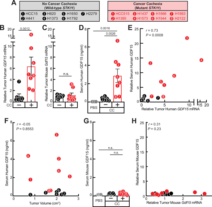 Fig. 1: Levels of mRNA and circulating GDF15 of human NSCLC cachexia.