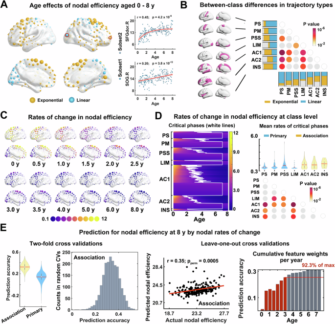 Fig. 2: Heterogeneous maturation in nodal efficiency of structural brain networks from birth to childhood.