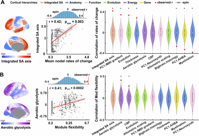 Fig. 4: Spatial associations between structural network maturation and multiscale neurobiological hierarchies.