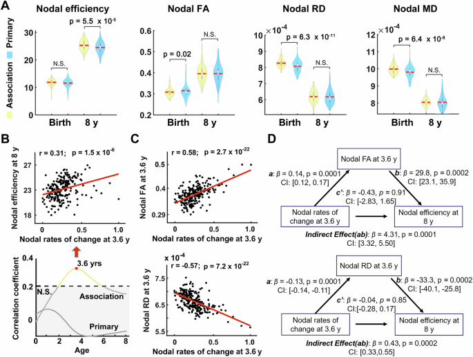 Fig. 5: The rates of change in nodal efficiency at 3.6 years show the highest correlation with the nodal efficiency at 8 years of age in association cortex, and this relationship is mediated by regional FA and RD metrics.