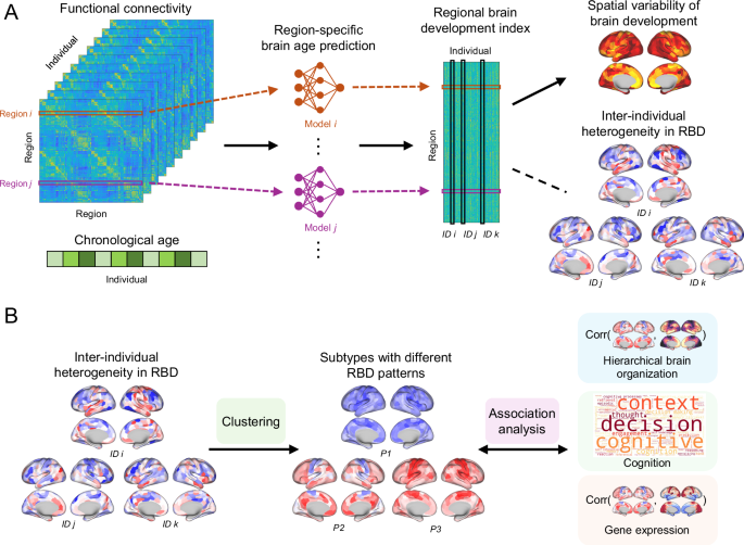 Fig. 1: Overview of the analysis workflow.