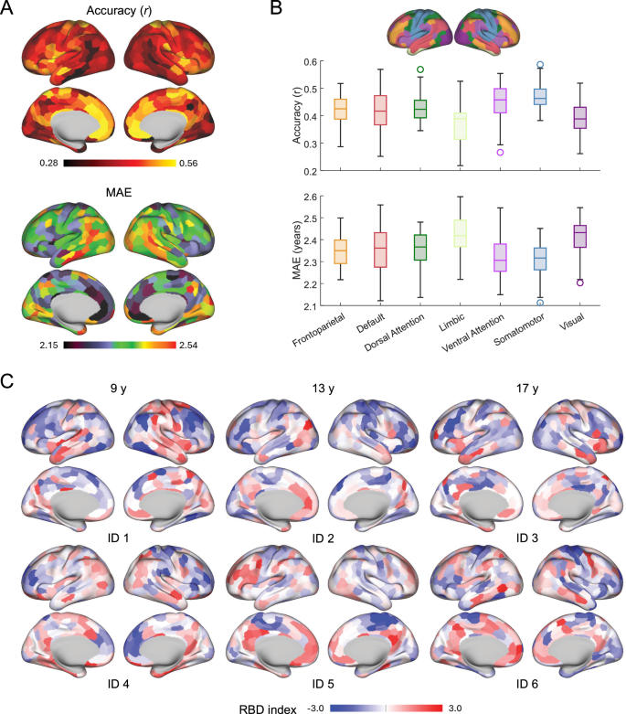 Fig. 2: Spatial variations and inter-individual differences in functional connectivity development.