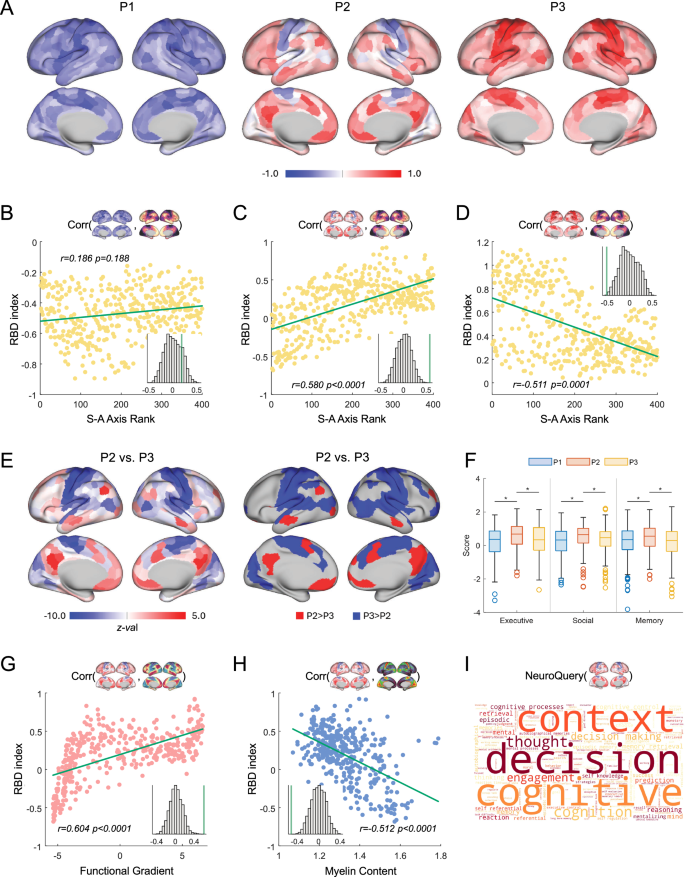 Fig. 3: Subtypes of functional connectivity development identified based on RBD index maps.
