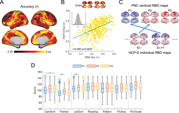 Fig. 5: Generalization analysis in the HCP-Development cohort.