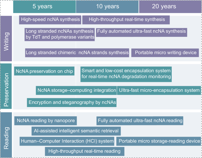 Fig. 4: Roadmap of Non-Canonical Nucleic Acids in Data Storage.
