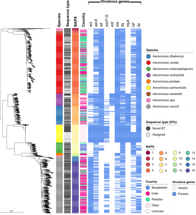 Fig. 1: Taxonomic, genetic and geographic diversity of 1853 Aeromonas species genomes.