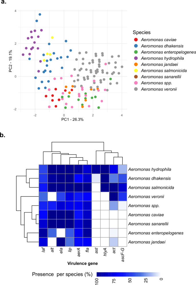 Fig. 2: Distribution of virulence genes across 1853 Aeromonas species genomes.