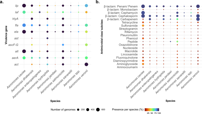 Fig. 3: Distribution of virulence genes and drug classes corresponding to antimicrobial resistance across 1853 Aeromonas species genomes.