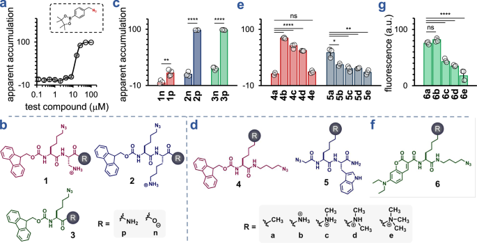 Fig. 3: Cytosolic accumulation of small-molecule test compounds.