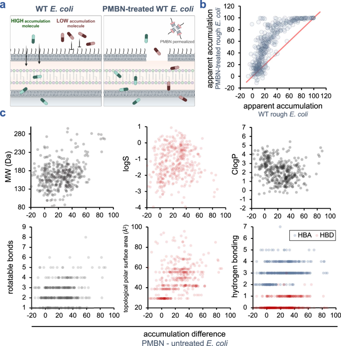 Fig. 5: Biological context–dependent differences in cytosolic accumulation.