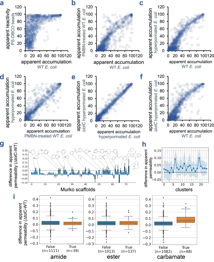 Fig. 6: Effects of azide reactivity and physicochemical properties on cytosolic accumulation.