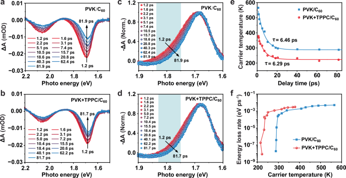 Fig. 3: fs-TA analysis of the carrier dynamics at the TPPC-treated PVK/C60 interface under a pump fluence of 1.05 μJ cm-2.