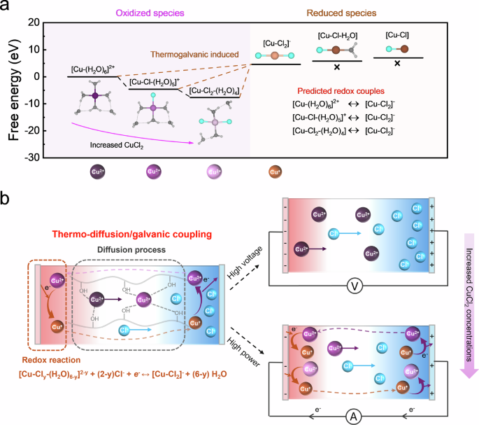 Fig. 2: Thermo-diffusion/galvanic coupling mechanism.