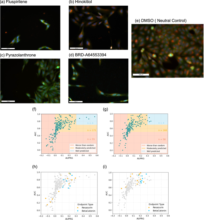 Fig. 3: Example images of cells treated with four different compounds.