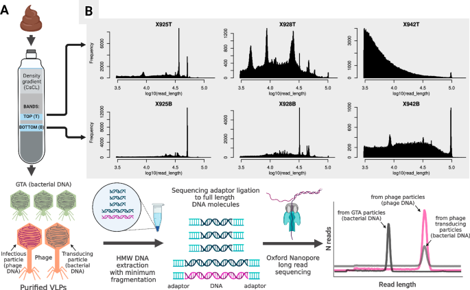 Fig. 1: Concept summary of the approach used in the present study.
