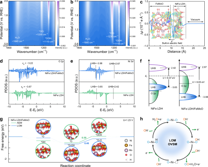 Fig. 3: Mechanism analysis in OER process.