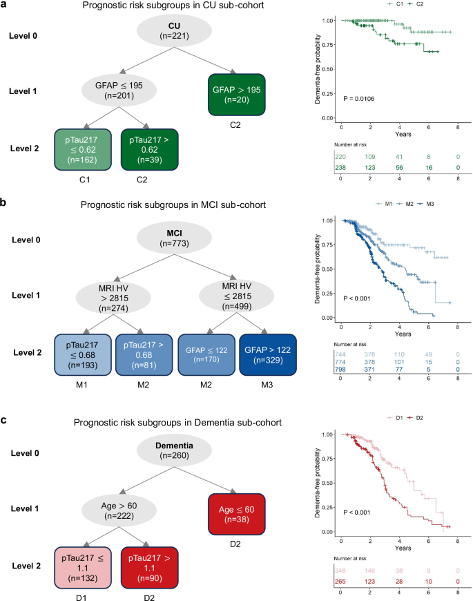 Fig. 2: Prognostic risk subgroups identified within initial cognitive status sub-cohorts in Phase 1.