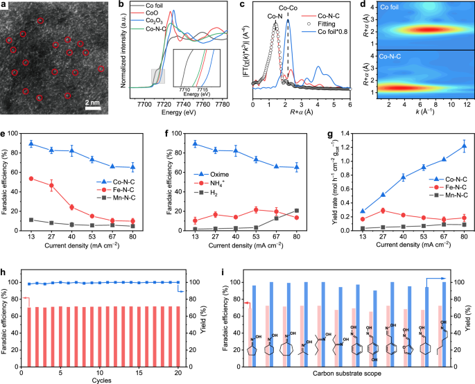 Fig. 2: Catalyst characterization and activity evaluation.