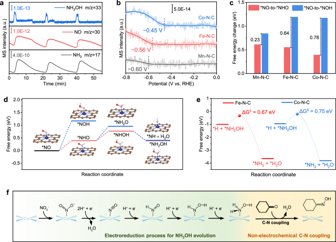 Fig. 3: Mechanistic understanding.