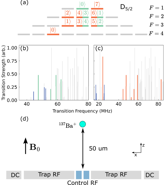 Fig. 1: Qudit encoding and experimental setup.