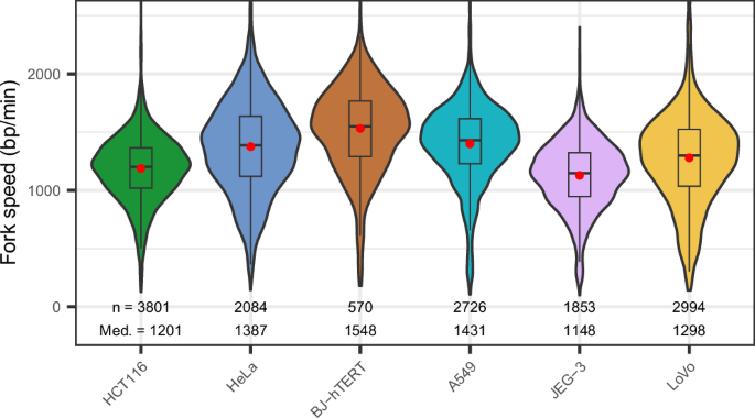 Fig. 3: Replication fork speed estimated by ForkML in a panel of human normal and cancer cell lines.