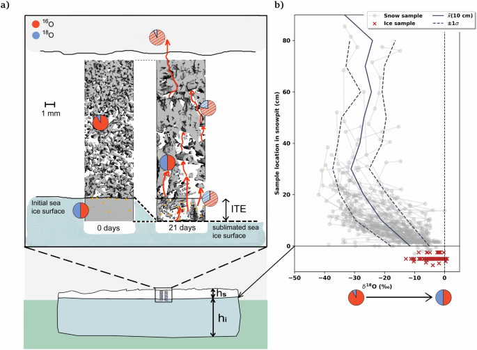 Fig. 1: Conceptual model of sea ice sublimation and the isotopic two-source mixing model leading to 18O enrichment of the lower snowpack.