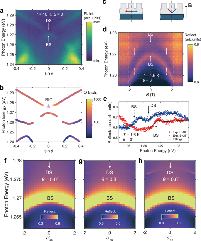 Fig. 3: Formation and controlling of the magnetic EP BICs in CrSBr metasurface.