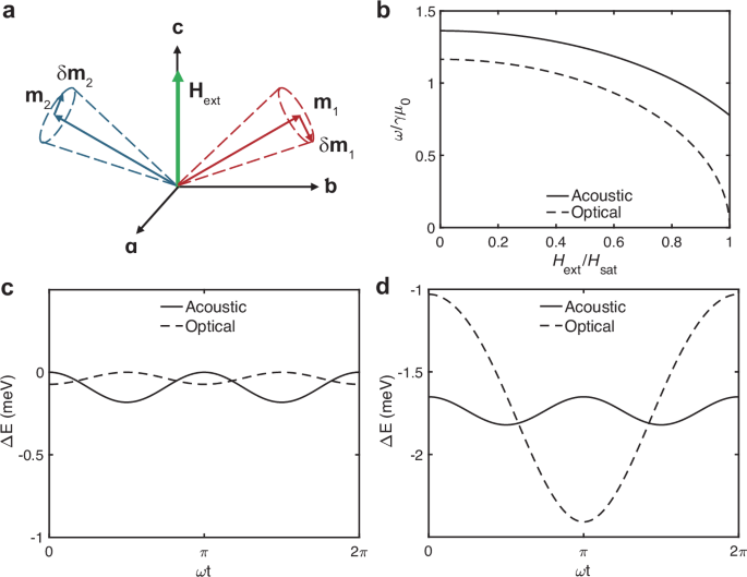 Fig. 5: Simulation of the optical and acoustic magnon modes in bulk CrSBr.