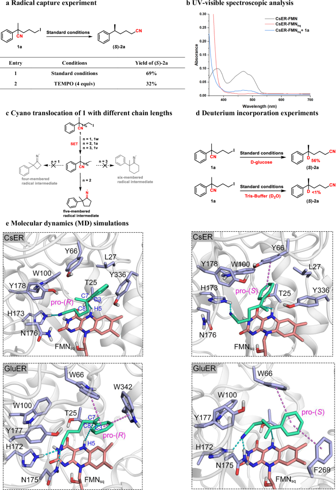 Fig. 3: Mechanistic studies.