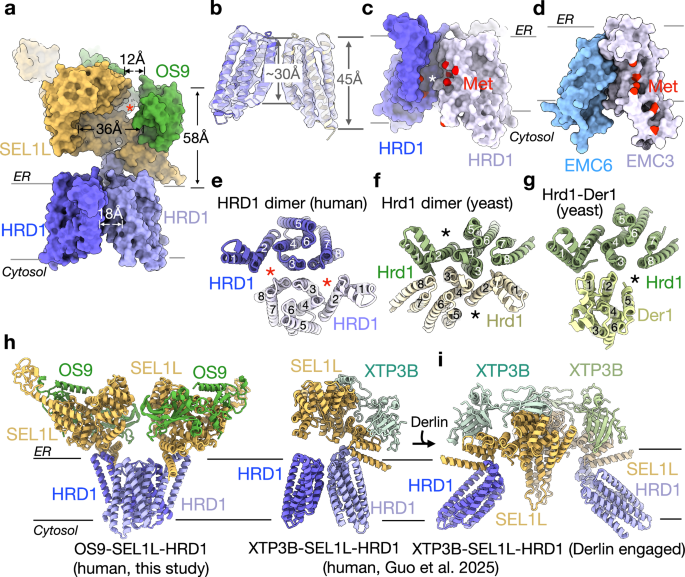 Fig. 7: Comparison with existing ERAD core structures.