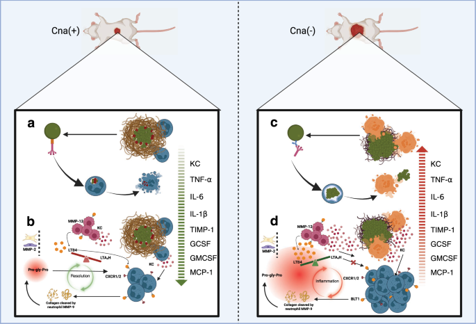 Fig. 6: Summary of results.