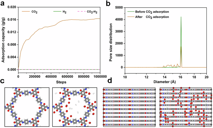 Fig. 5: Molecular simulation of gas adsorption behavior and structural dynamics in TpPa-1.