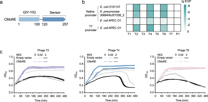 Fig. 1: The CMoRE system confers defense against T-even phages.