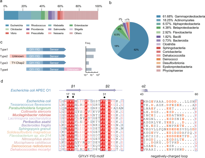 Fig. 6: CMoRE represents an additional member of GIY-YIG family.