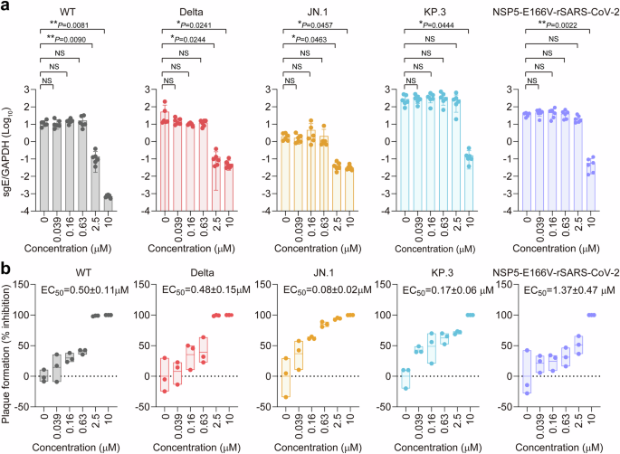 Fig. 5: In vitro antiviral efficacy of YL1004.