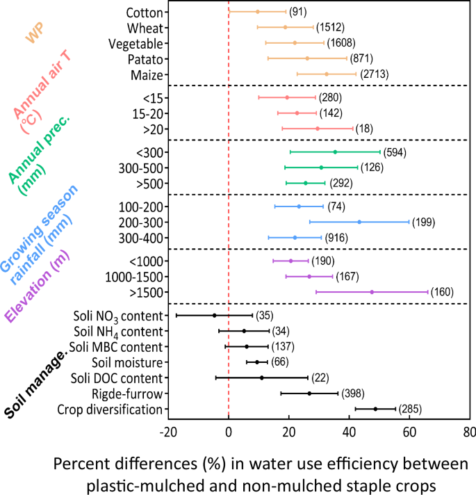 Fig. 3: Water use efficiency in plastic-mulched versus non-mulched crops.