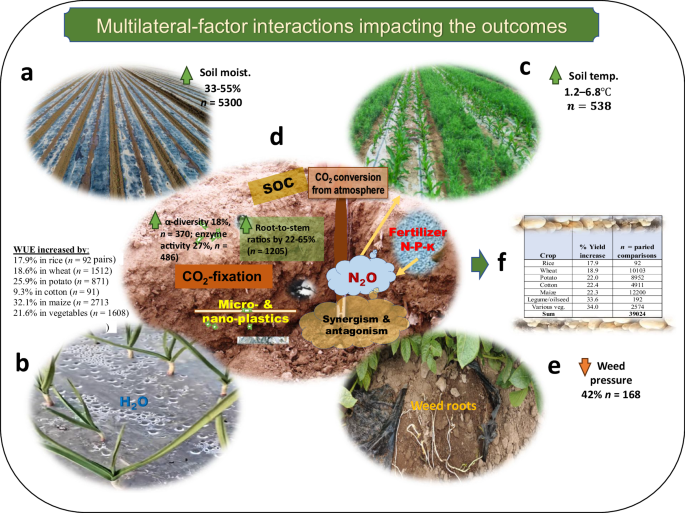 Fig. 4: Key mechanisms of plastic mulch benefits.