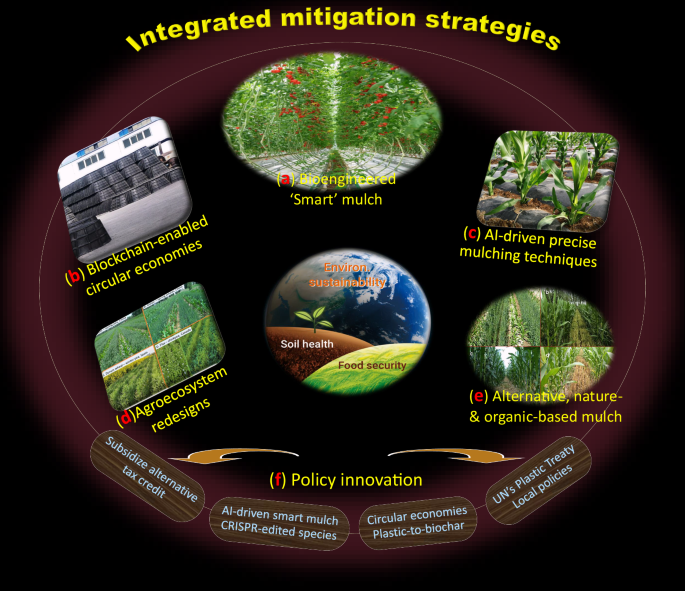Fig. 6: Integrated mitigation strategies to reduce reliance on plastic mulch.