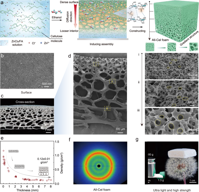 Fig. 2: Design and structural characterizations of All-Cel foam.