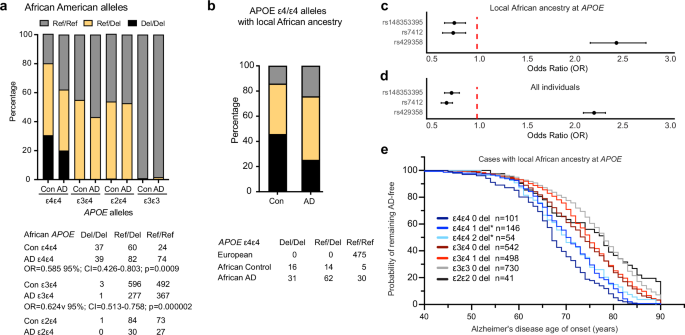 Fig. 2: The rs148353395 19 bp deletion SNP is more abundant in controls versus AD cases in APOE-ε4 homozygous individuals of African ancestry.
