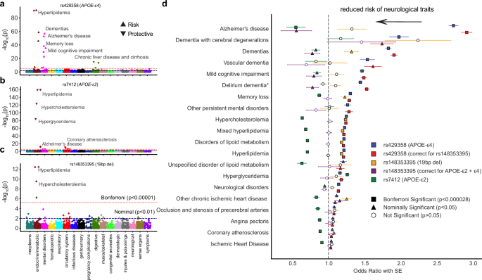Fig. 3: Phenotypes related to APOE-associated SNPs in the NIH All of Us dataset.