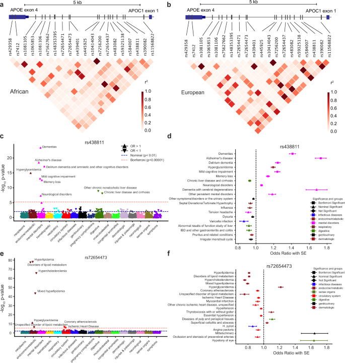 Fig. 5: PheWAS analysis of intergenic variants between APOE and APOC1 from NIH All of Us.